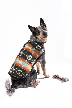 Dog wearing Chilly Dog Black Canyon Blanket Coat