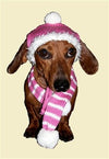 Dallas Dogs Bubblegum Pink Dog Hat & Scarf Set