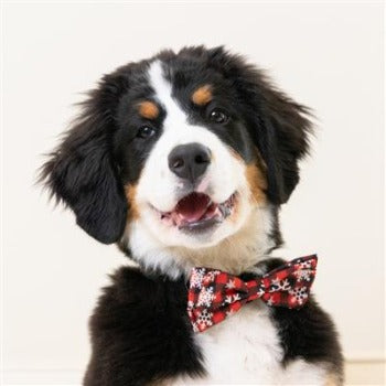 Huxley & Kent Buffalo & Snow Dog Bow Tie