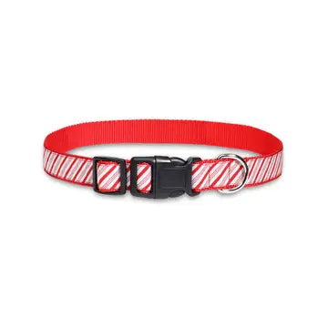 Candy Cane Stripe Dog Collar & Leash Collection