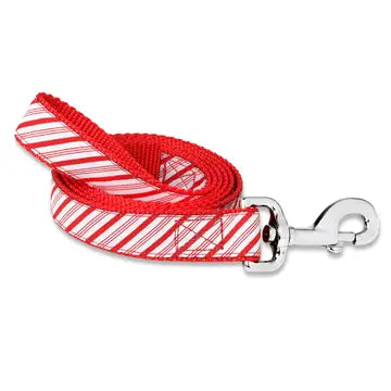 Candy Cane Stripe Dog Collar & Leash Collection