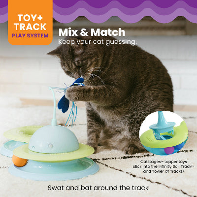 A colorful Catstages Infinity Ball Track with two balls and a green and blue ring, perfect for engaging cats in play.