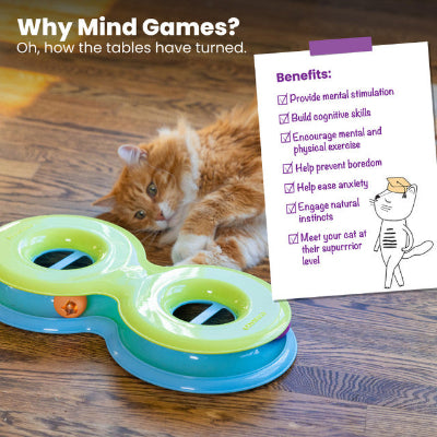 A colorful Catstages Infinity Ball Track with two balls and a green and blue ring, perfect for engaging cats in play.