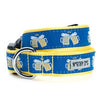The Worthy Dog Cheers! Dog Collar & Leash Collection