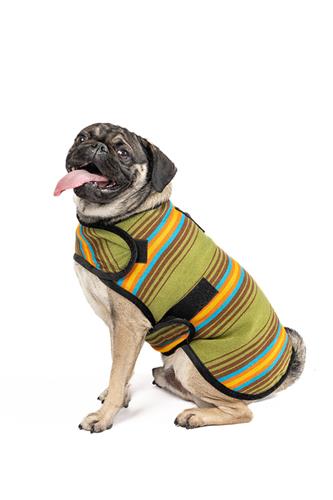 Camp Green Blanket Dog Coat