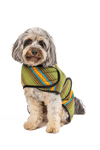 Camp Green Blanket Dog Coat