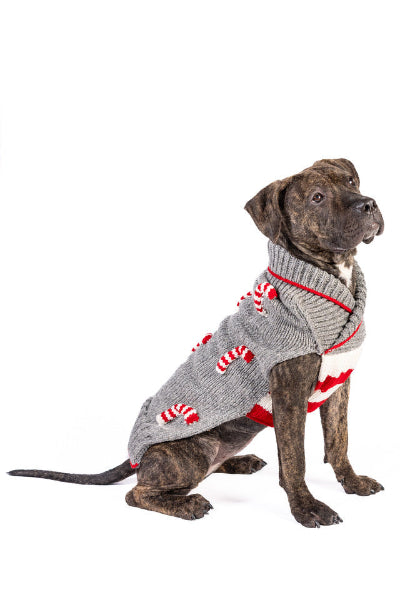 Dog wearing gray wool sweater  with shawl neckline accented with candy canes on white background. 