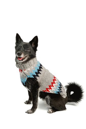 Gray Chevron Dog Sweater