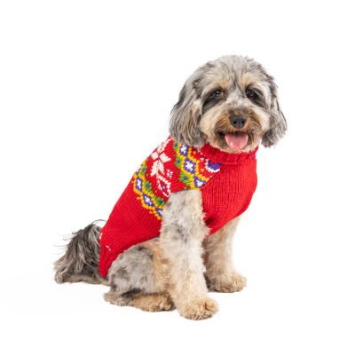 Dog wearing a red sweater with a colorful pattern on a white background