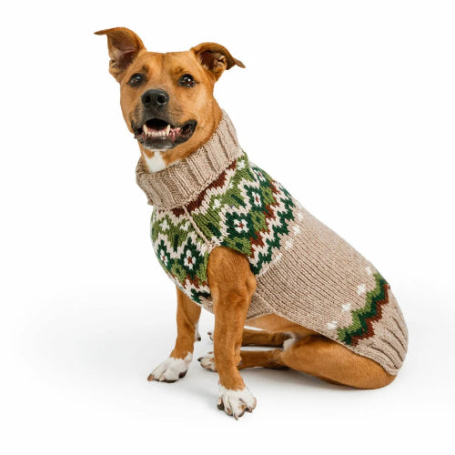 Tan colored dog wearing brown sweater with green and brown woven design on white background