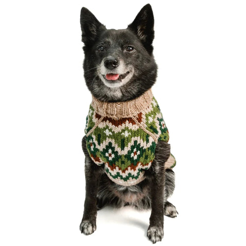 Black dog sitting wearing brown sweater with green and black woven design on white background.