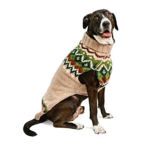 Dog sitting wearing brown turtleneck sweater with green and brown woven design on white background.