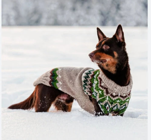 Dog standing in snow wearing brown sweater with green and brown design
