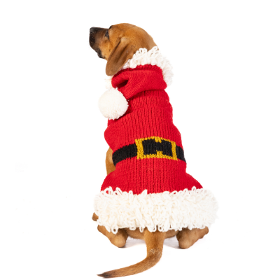 Dog wearing red santa hoodie sweater with black belt and white accents