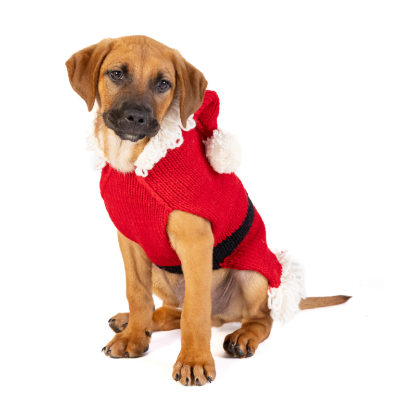 Dog wearing red santa hoodie sweater with black belt and white accents