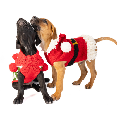 Dog wearing red santa hoodie sweater with black belt and white accents and dog wearing red sweater with red pom poms and green and white stripes on white background.