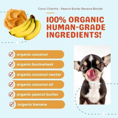 Product label for Coco-Charms Peanut Butter Banana Blonde with ingredients listed and a dog's face on a light blue background.