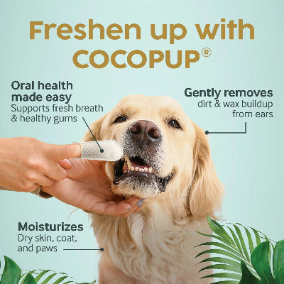 Dog being groomed with COCOPUP product, featuring text about product benefits on a light blue background.