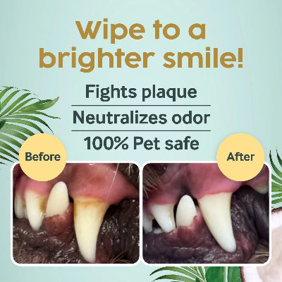 Product advertisement for dental care wipes showing before and after effects on pet teeth.