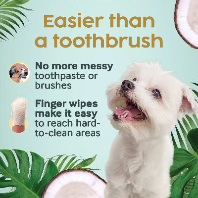 Dog with text about dog tooth care product, coconut, and leaves on a light blue background