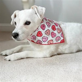 Paisley Paw Designs Conversation Hearts Dog Bandana