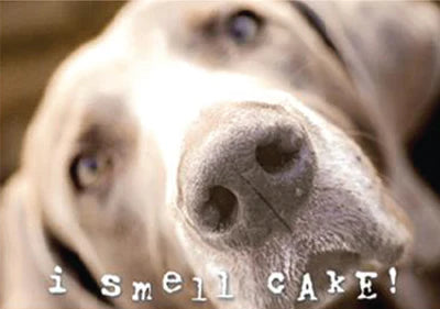 I Smell Cake Birthday Card