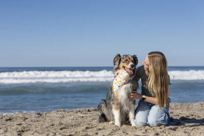 Woman sitting on the beach with a dog, both looking happy