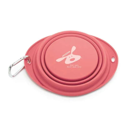 Pink collapsible dog travel bowl with carabiner on a white background