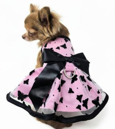 Dog wearing a pink dress with black butterfly patterns and a large bow.