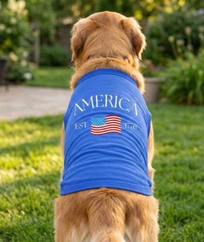 Dog wearing a blue shirt with 'AMERICA' and an American flag on it, sitting in a grassy area.