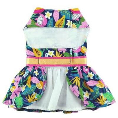 Colorful dog dress with tropical pattern on a white background