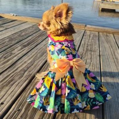 Dog wearing a colorful dress with a large bow on a wooden dock by a body of water.