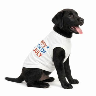 Black dog wearing a white shirt with '4th of July' text on a white background