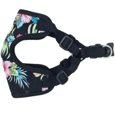 Floral-patterned dog harness on a white background