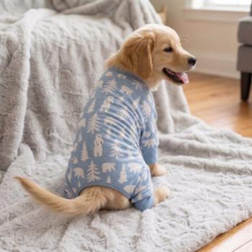 A golden retriever dog wearing a light blue pajamas with a white tree pattern, sitting on a cozy gray blanket in a living room setting.