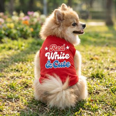 Small dog wearing a red shirt with 'Red White & Cute' text, sitting on grass.