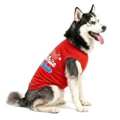 Dog wearing a red shirt with text on a white background