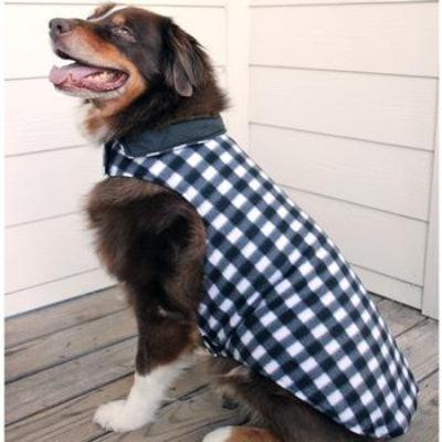 Dog wearing a black and white checkered coat standing on a wooden deck.