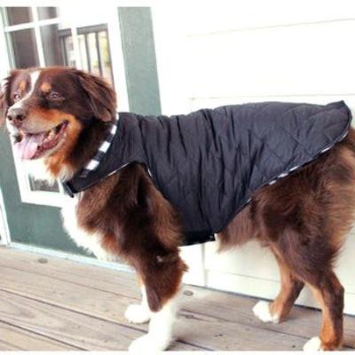 Dog wearing a black coat on a wooden deck