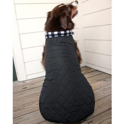 Dog wearing a black quilted coat on a wooden deck.