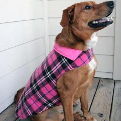 Dog wearing a pink plaid coat sitting on a wooden deck.