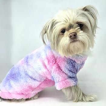 Small dog wearing a colorful tie-dye pullover sweater on a white background