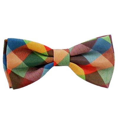 Fall Check Bow Tie