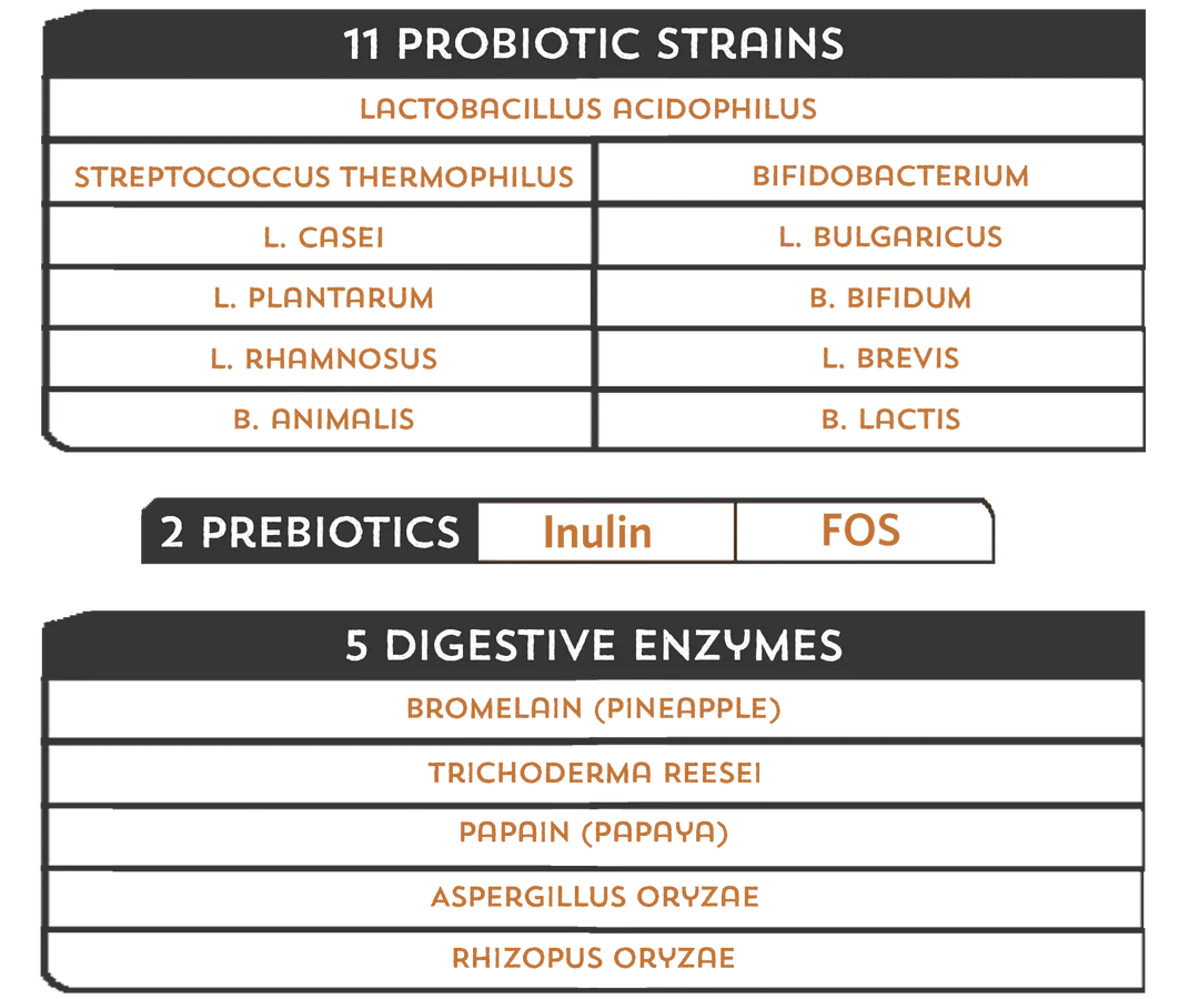 List of probiotic strains, prebiotics, and digestive enzymes on a white background