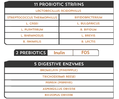 List of probiotic strains, prebiotics, and digestive enzymes on a white background