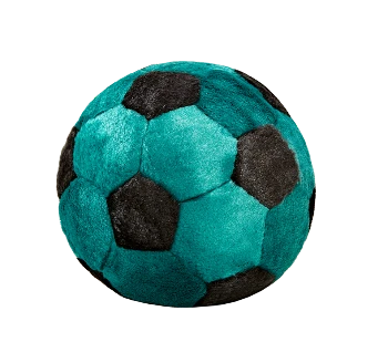 Soccer Ball Toy