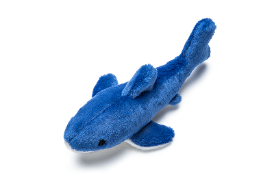 Blue plush shark dog toy on a white background