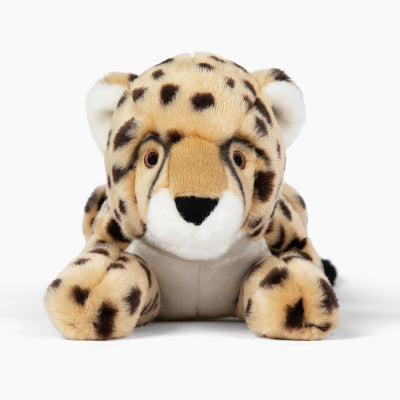 Plush toy cheetah on a white background