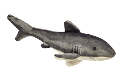 Plush shark dog toy on a white background