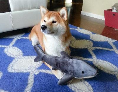 Mac the Shark Toy